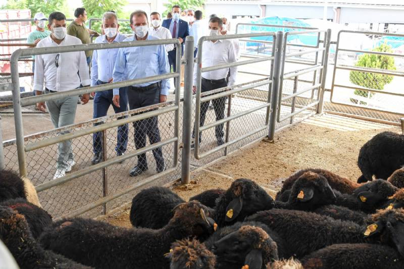 Mersin Belediyesi, 'Haydi gel köyümüze destek verelim' projesini başlattı - Resim : 3