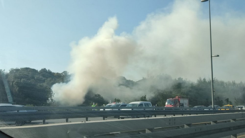 Altunizade'de ağaçlık alanda yangın - Resim : 1