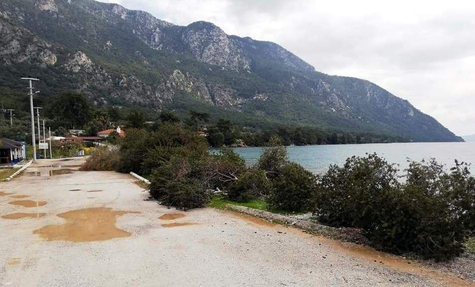 Muğla’da “Daha fazla şezlong koymak için ağaç kesildi” iddiası - Resim : 1