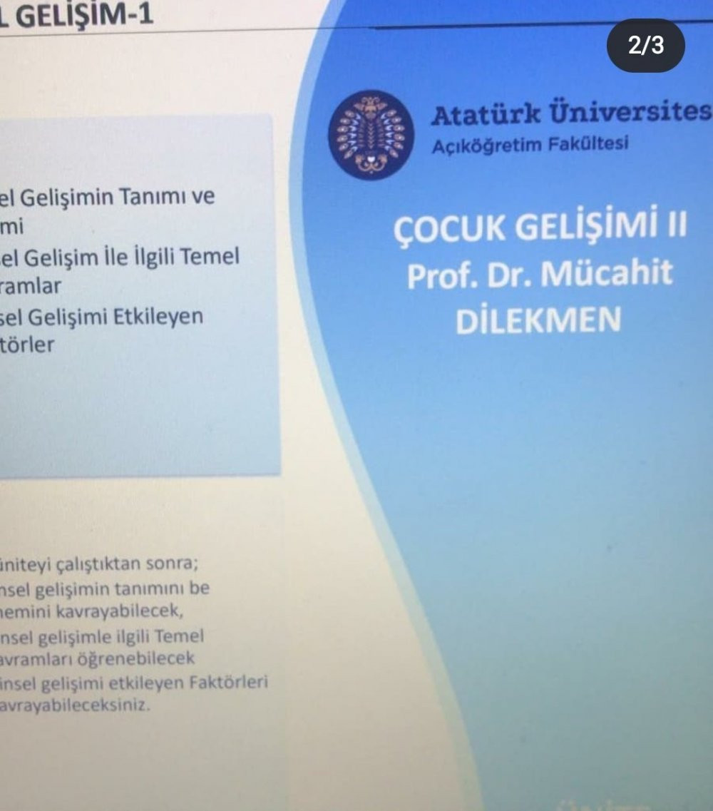 Profesörün ders notlarında istismara uğrayan çocuklar suçlandı - Resim : 1