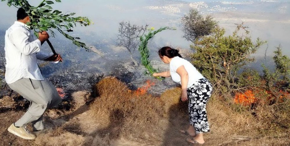 Tarlada başlayan yangın az daha köyü yakıyordu - Resim : 1