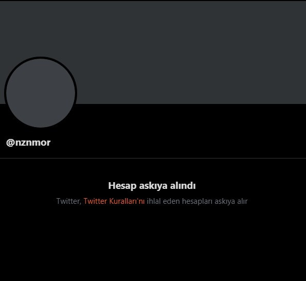 Nazan Moroğlu’nun Twitter hesabı askıya alındı - Resim : 1