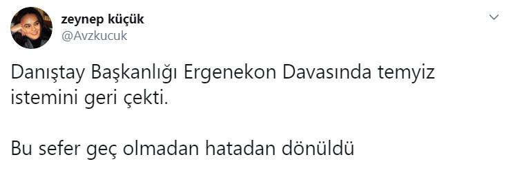 Danıştay, Ergenekon davasında temyizden vazgeçti - Resim : 1