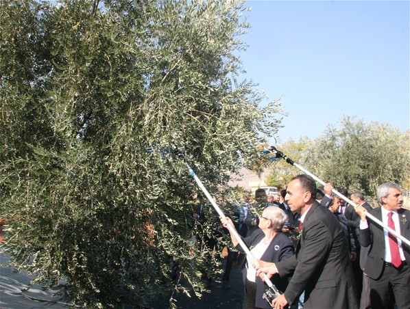 Canan Karatay, bardak bardak zeytinyağı içti! - Resim : 2