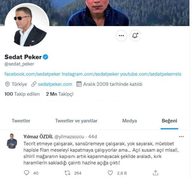 Sedat Peker'den dikkat çeken beğeni! - Resim : 2