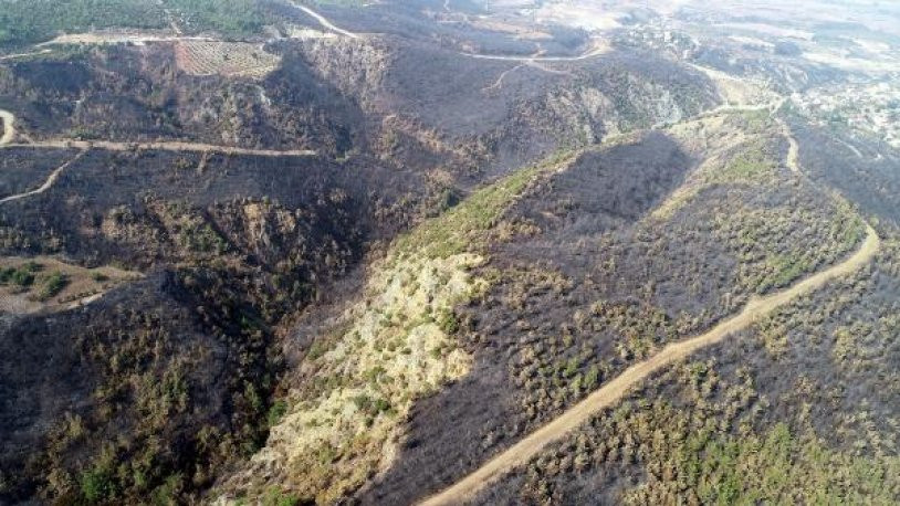 İşte Hatay'da yanan ormanlık alanın son görüntüsü - Resim : 1