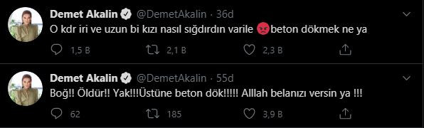 Demet Akalın'ın 'Pınar Gültekin' tweeti tepki topladı - Resim : 1