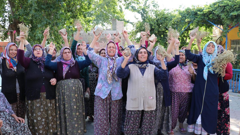 ‘Geçiş garantili’ otoyol için taş ocağı: Şirket ağaç katliamı yaptı - Resim : 3