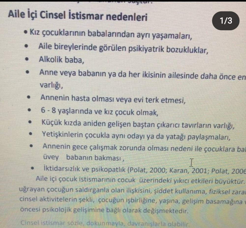 Profesörün ders notlarında istismara uğrayan çocuklar suçlandı - Resim : 2