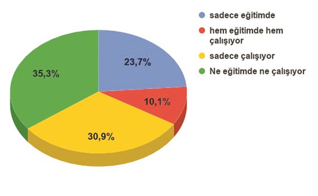 2020 gençliğinin sınavı: İşsizlik - Resim : 2