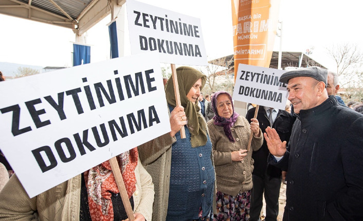 'Zeytin ağaçları Resmi Gazete'den daha yaşlı' - Resim : 1