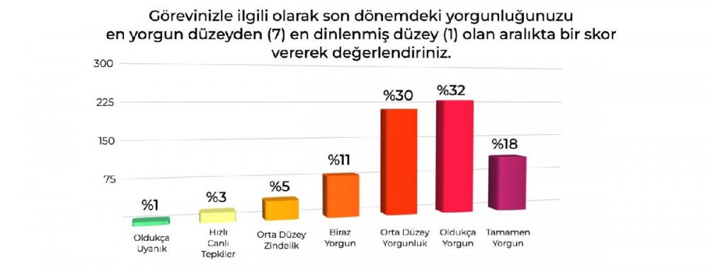 Kokpitteki pilotlar hakkında endişe yaratan araştırma - Resim : 2