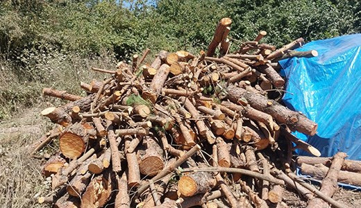 &Ccedil;ekmek&ouml;y Kışlası&rsquo;nda ağa&ccedil; katliamı - Resim : 2