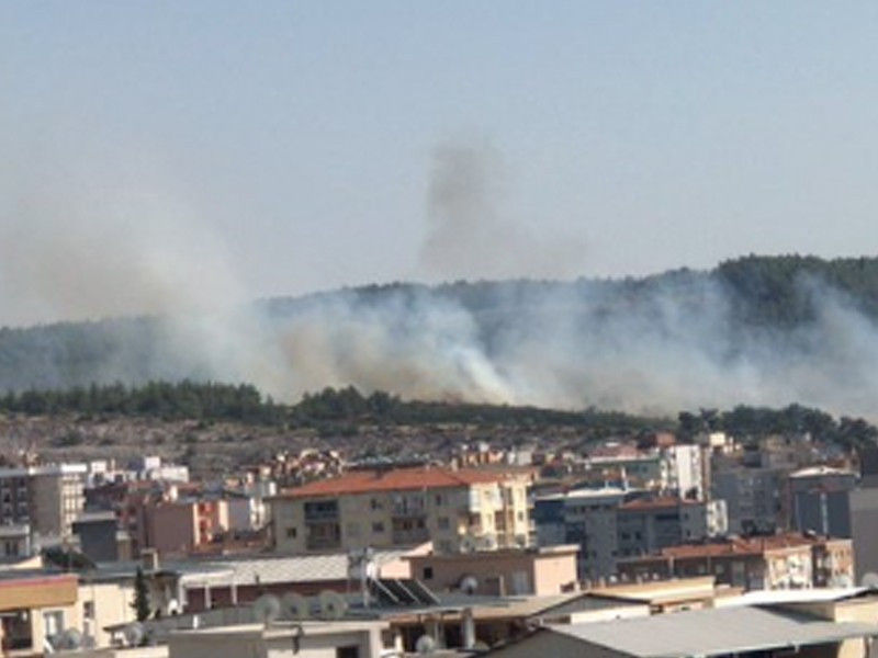 Buca’da yanan samanların alevi ormana sıçradı - Resim : 1