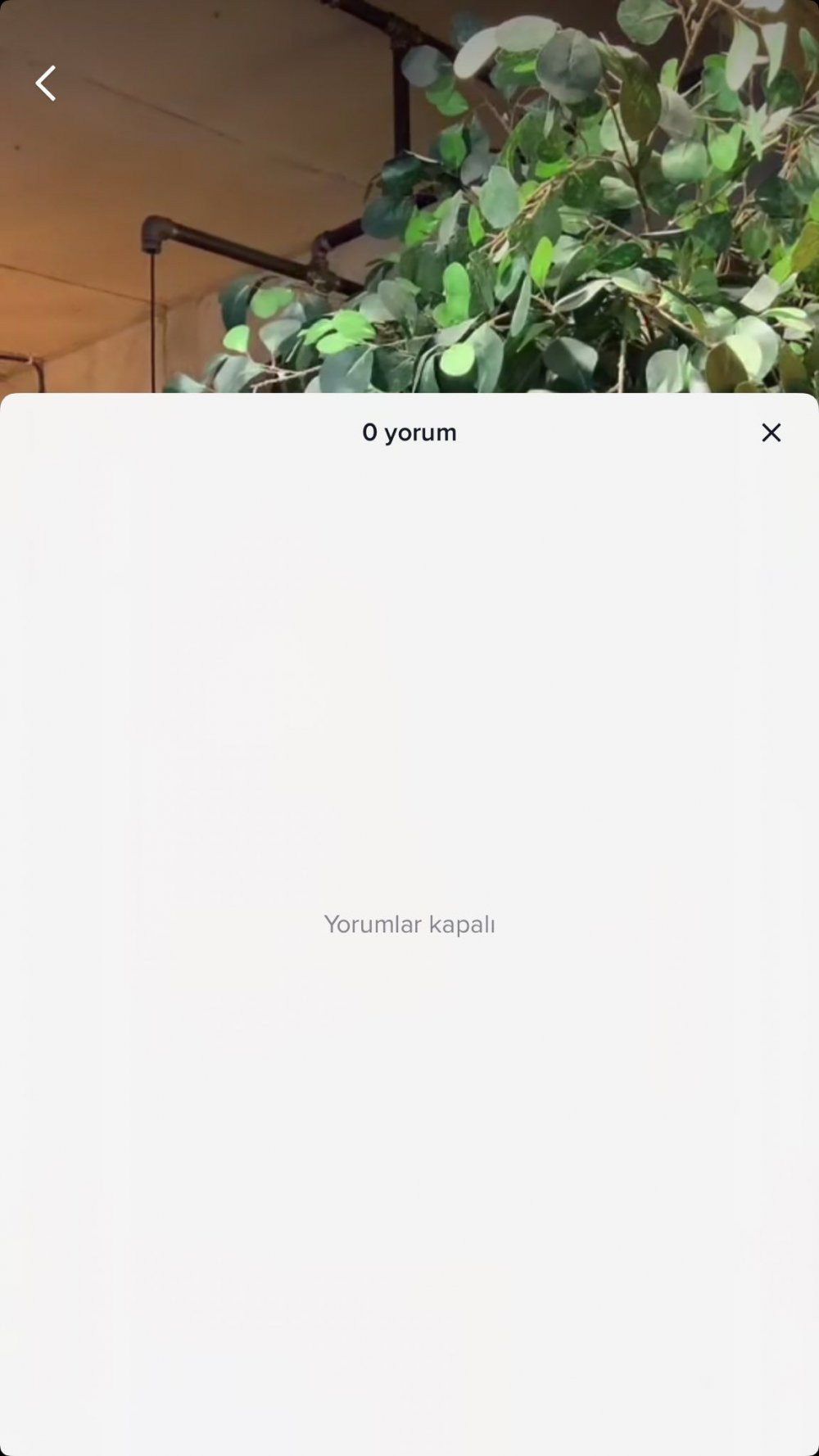AKP'nin sosyal medya projesinin sahibi ortaya &ccedil;ıktı - Resim : 4
