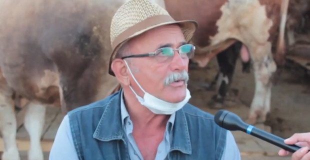 Koronavir&uuml;s ve kriz, kurban satışlarını etkiledi - Resim : 1