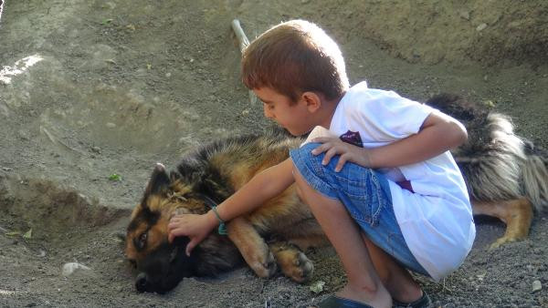 Köpeği bıçakladığı için gözaltına alınmıştı, serbest kalınca bu kez öldürdü - Resim : 2