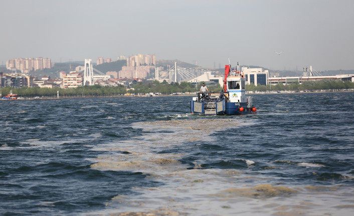 İzmit Körfezi’nden 100 ton deniz salyası toplandı - Resim : 2