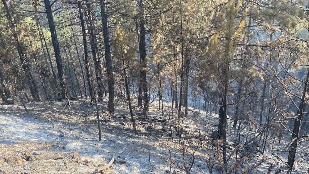 Kütahya’daki orman yangını devam ediyor - Resim : 3