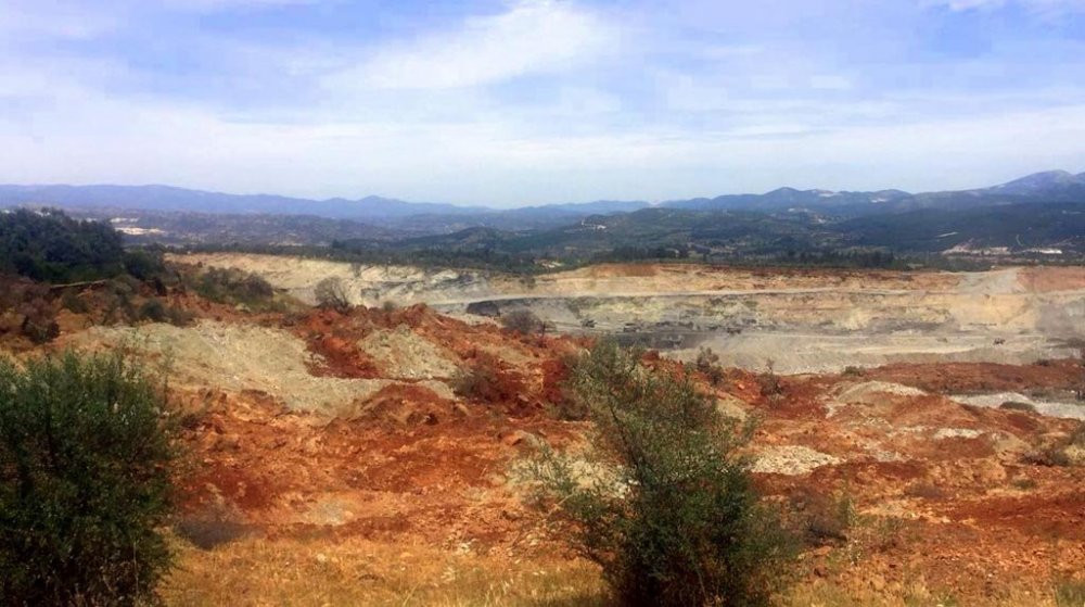 Ağaçlar artık kesilmiyor ama ‘boğuluyor’ - Resim : 2