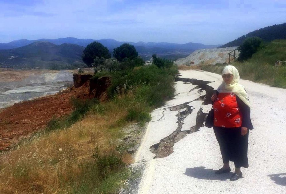 Ağaçlar artık kesilmiyor ama ‘boğuluyor’ - Resim : 3