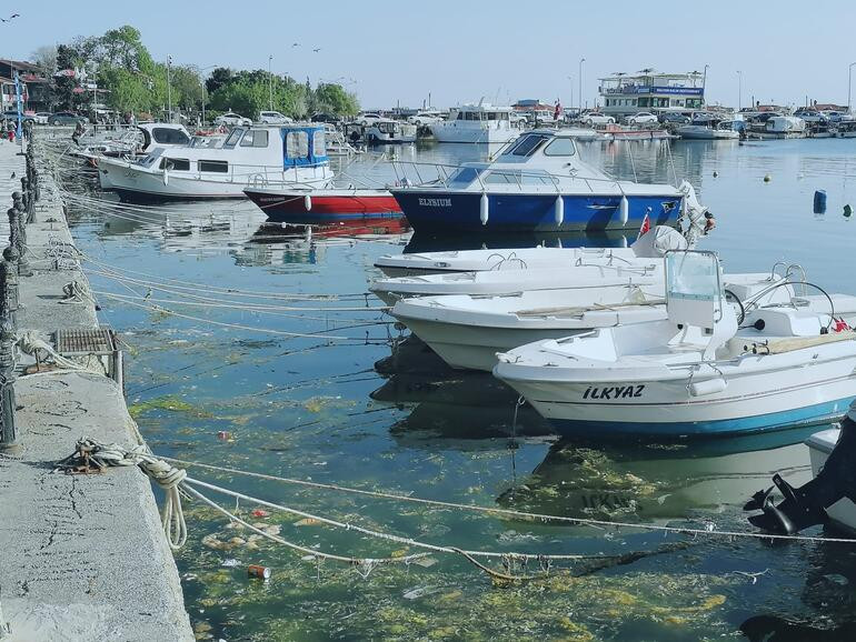 İklim Krizi: Silivri Sahili'nde denizi çöplüğe çevirdiler, ekipler harekete geçti - Resim : 1