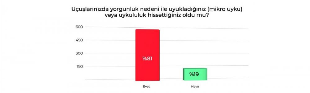 Kokpitteki pilotlar hakkında endişe yaratan araştırma - Resim : 6