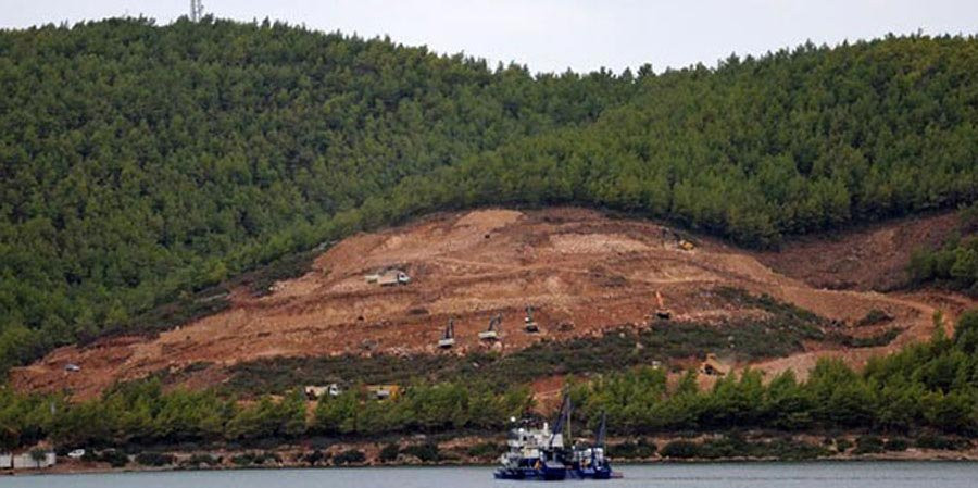 Ormanlar rant için mi yakılıyor? - Resim : 5