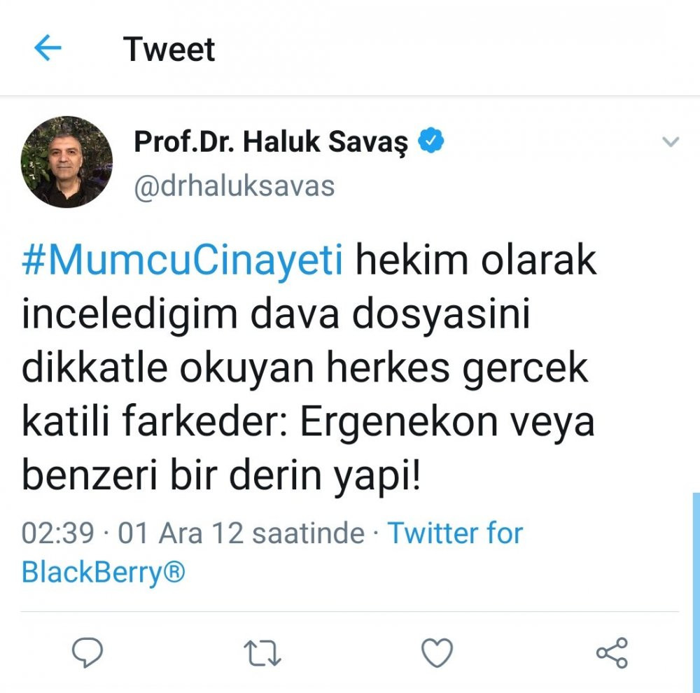 Haluk Savaş'ın FETÖ'ye destek mesajları ortaya çıktı! - Resim : 11