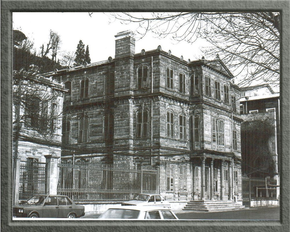 Katar'lı iş insanı boğaz kenarındaki ağaçları talan etti - Resim : 5