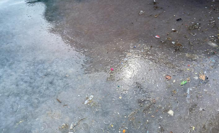 İstanbul Boğazı yine denizanası istilasına uğradı - Resim : 1