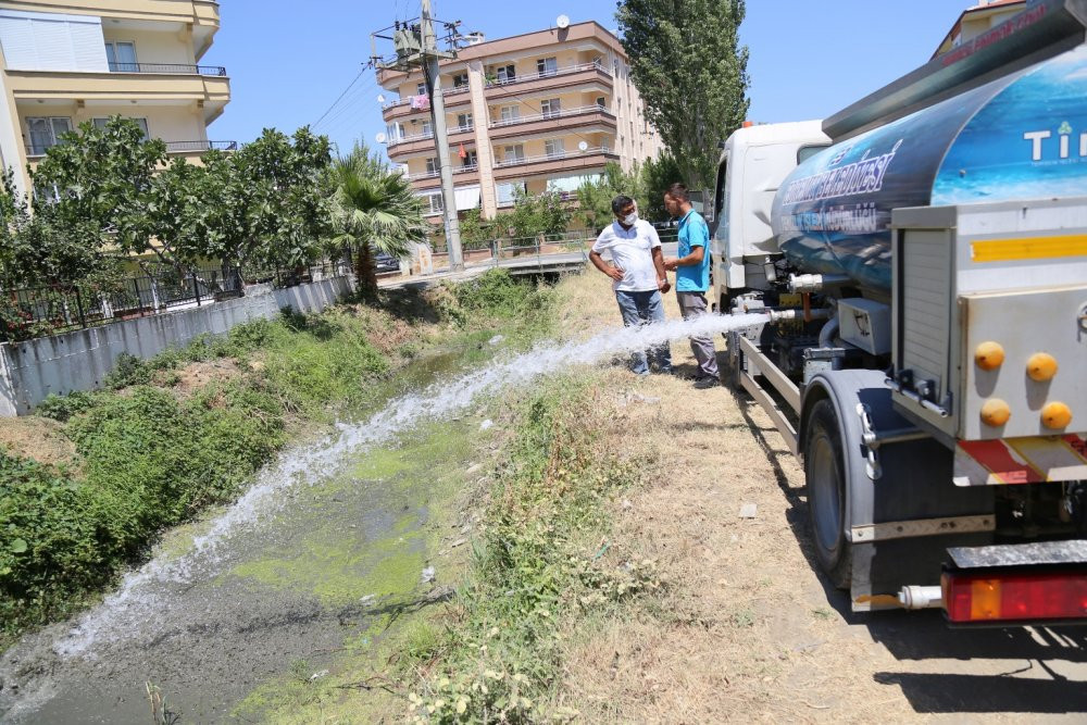 CHP'li belediye su kaplumbağalarına 'hayat verdi' - Resim : 1