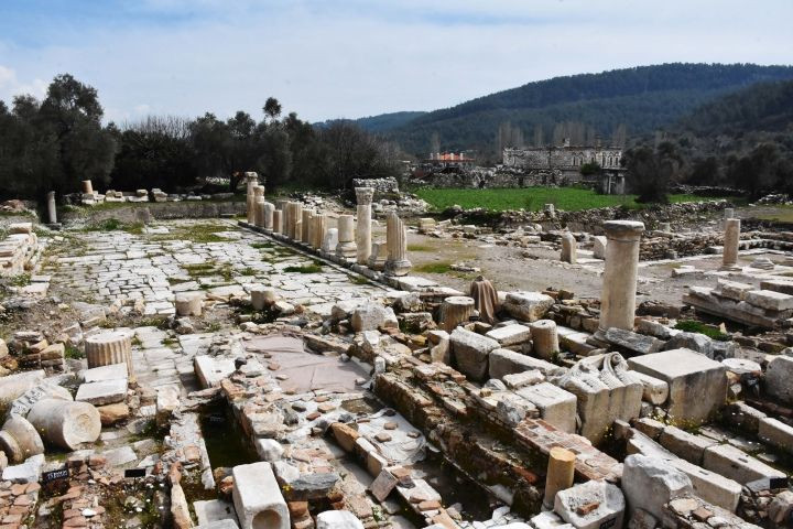 Termik santrallerin bedeli ağır olacak! - Resim : 2