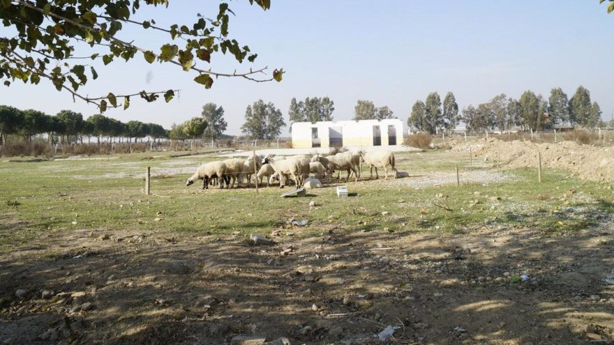 Bakan, milletvekili ve valinin de katıldığı görkemli bir törenle temeli atılmıştı - Resim : 2