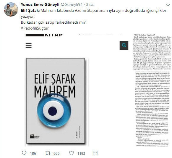 Elif Şafak’ın Mahrem kitabında da pedofili skandalı - Resim : 3