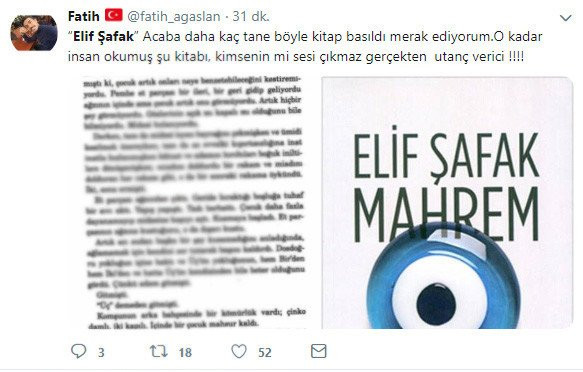 Elif Şafak’ın Mahrem kitabında da pedofili skandalı - Resim : 4