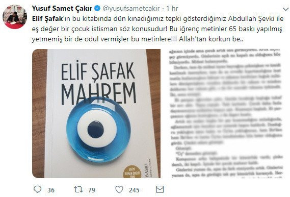 Elif Şafak’ın Mahrem kitabında da pedofili skandalı - Resim : 5