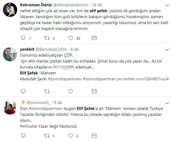 Elif Şafak’ın Mahrem kitabında da pedofili skandalı - Resim : 6