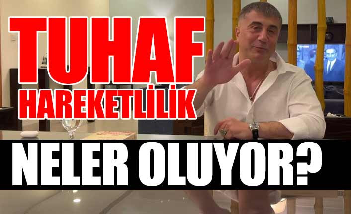 AKP'nin yeni Sedat Peker'i kim oldu? - Resim : 5