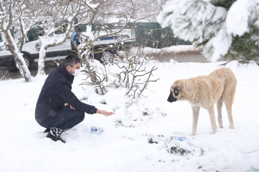 Sokak canları, karlı havada da unutulmadı - Resim : 1