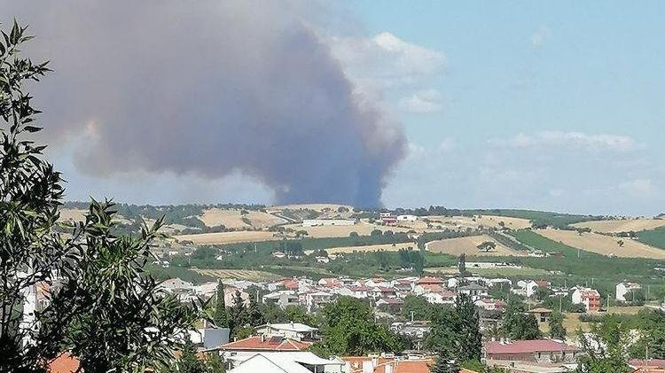 Çanakkale’de orman yangını - Resim : 1