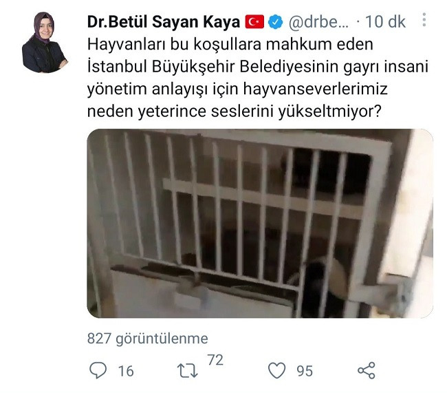 AKP'li Fatma Betül Sayan Kaya İBB'yi hedef alırken rezil oldu - Resim : 1