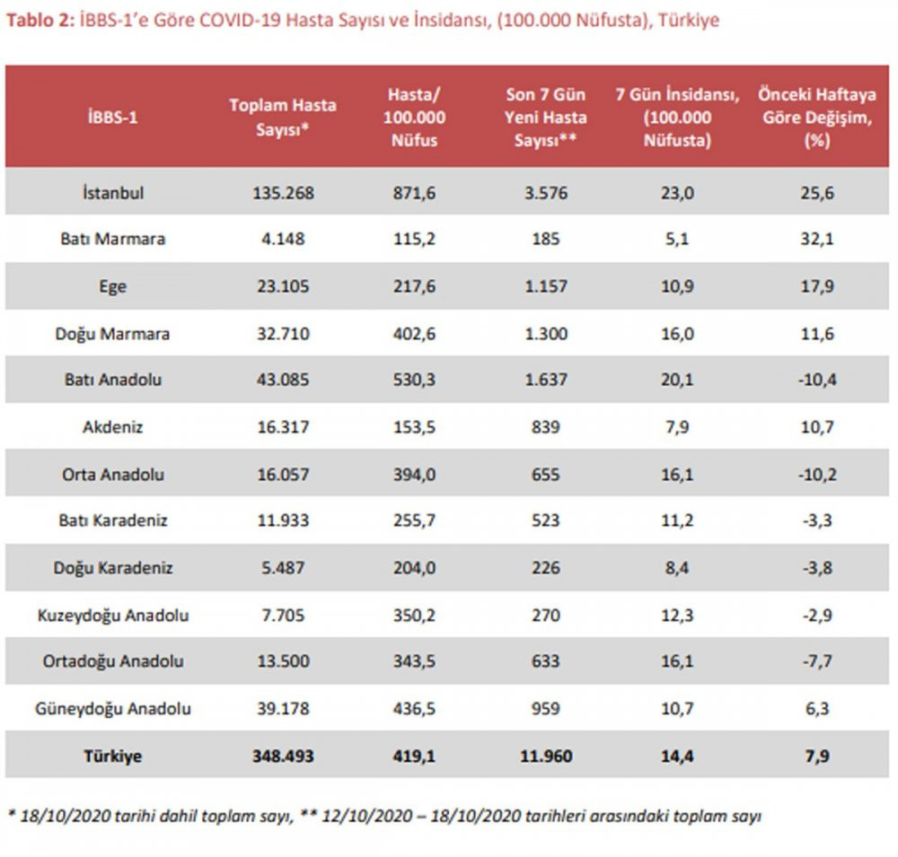 Koronavirüs raporunda çarpıcı detaylar - Resim : 2