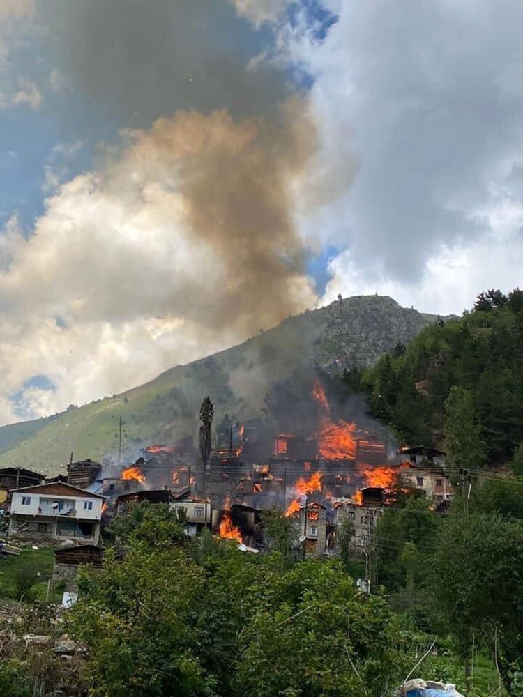Artvin’deki yangının bilançosu ortaya çıktı - Resim : 2
