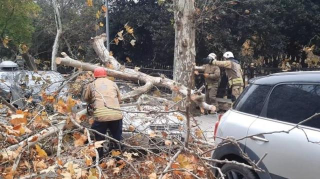 İstanbul'da lodos can aldı: 4 kişi hayatını kaybetti - Resim : 2