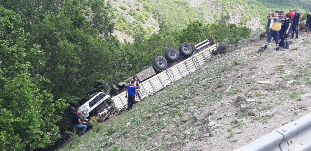 Kurbanlıkları taşıyan TIR devrildi: sürücü ve 17 hayvan öldü - Resim : 1