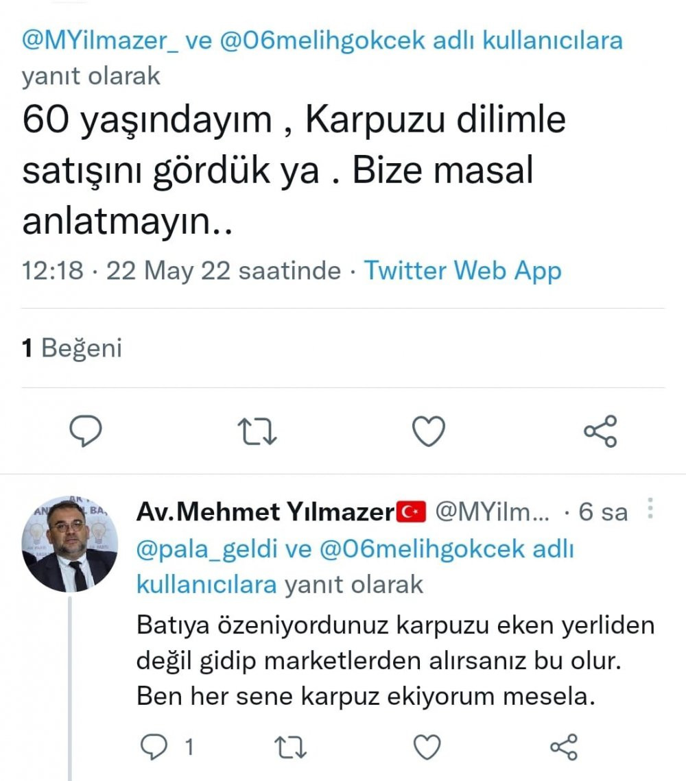 AKP'li Yılmazer'den vatandaşa 'yok artık' dedirten yanıt: Her sene karpuz ekiyorum - Resim : 1