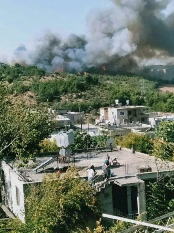 Hatay'da orman yangını - Resim : 1