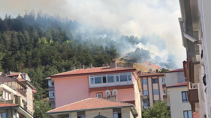 Ankara'da orman yangını - Resim : 1