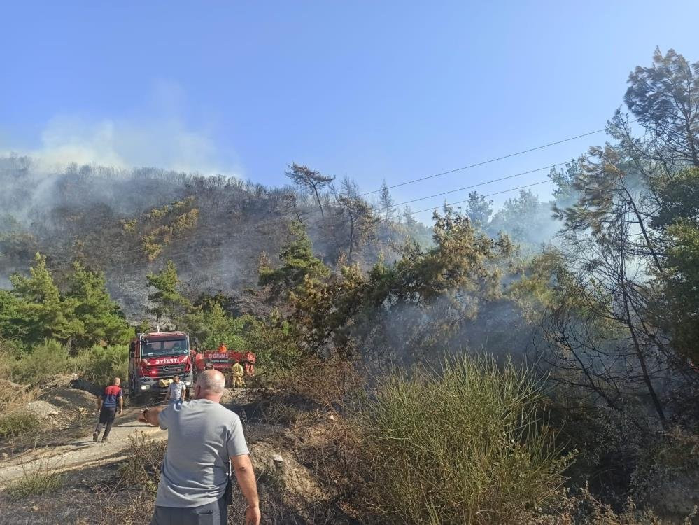 Aydın’da orman yangını - Resim : 1